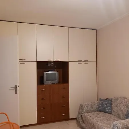 Sofia's *